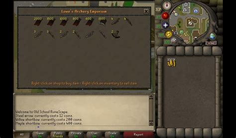 Ultimate Guide to OSRS F2P Best in Slot Gear.